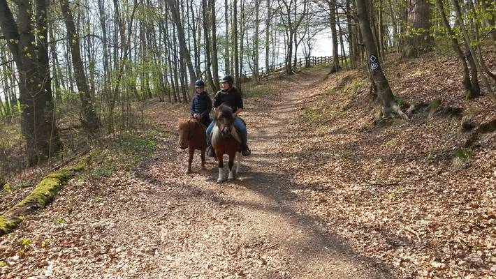 Kinder reiten auf Ponys im Wald